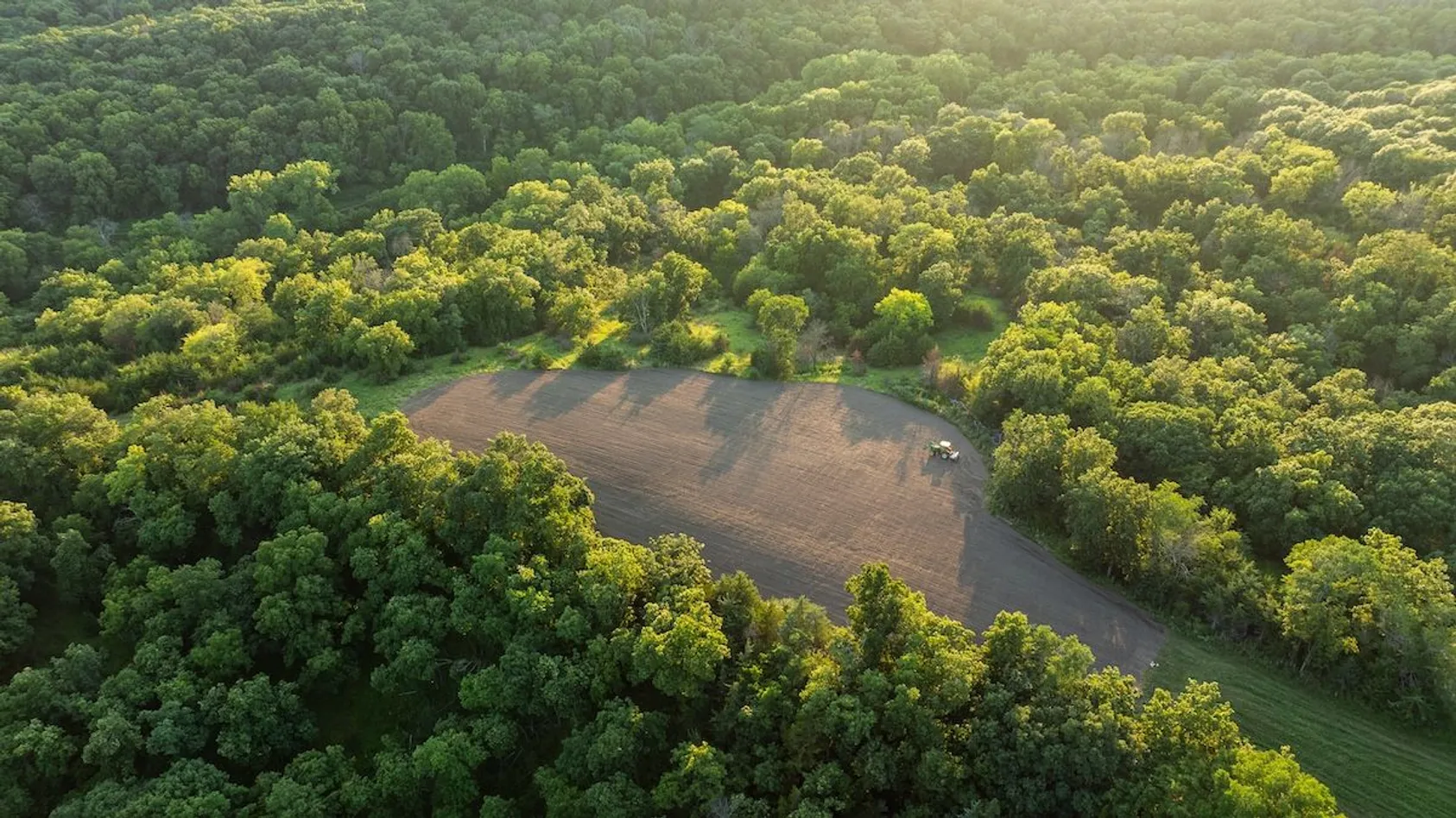 Aerial view of dense forest canopy with pond or water feature visible, showing mature timber and water resources on rural land