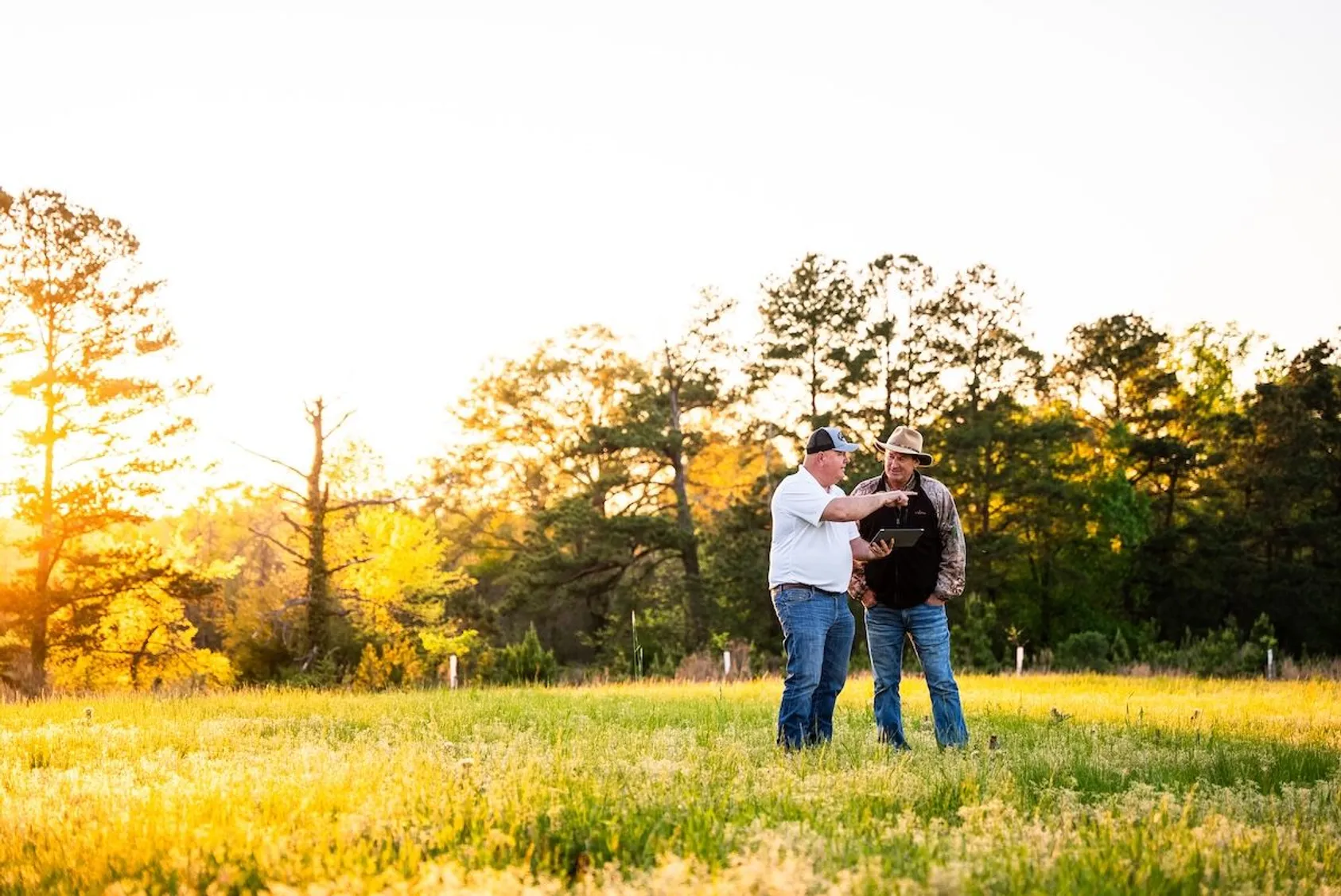 Two men standing in open grassy field during golden hour sunset, representing land professionals discussing rural property opportunities