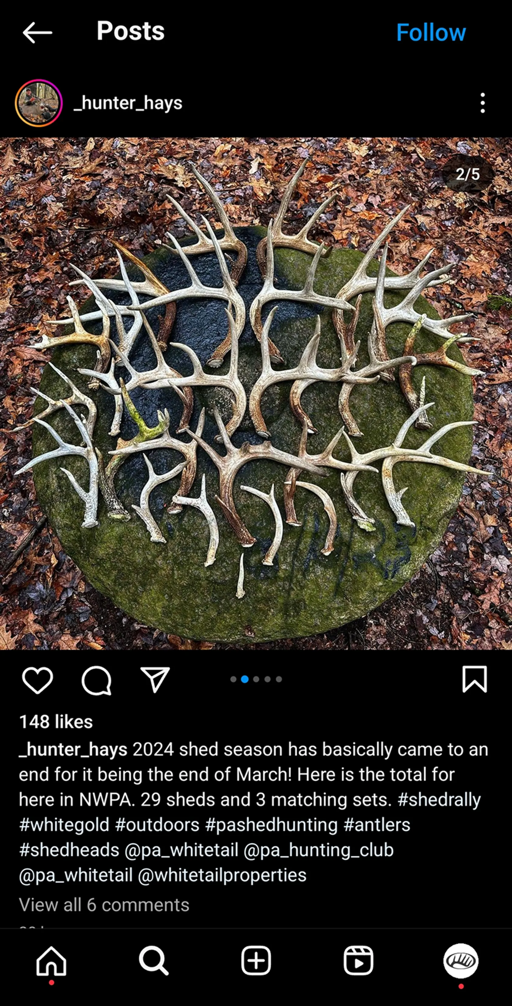 Instagram post from hunter_hays showing large collection of multiple deer antlers and sheds arranged in circular pattern on mossy ground, displaying successful shed hunting season results