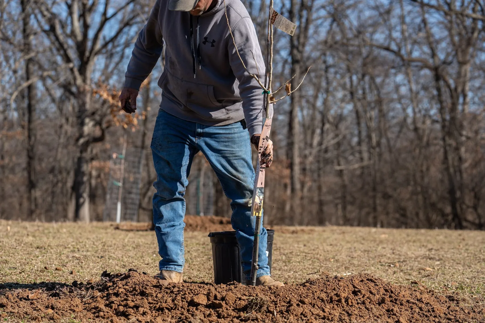 Man in jeans and work shirt planting young tree sapling in open field, demonstrating reforestation and land improvement activities for property enhancement