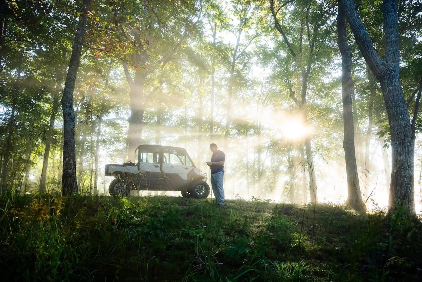 Pickup truck parked in sunlit forest with person standing nearby, demonstrating timber evaluation and forest management considerations for land buyers