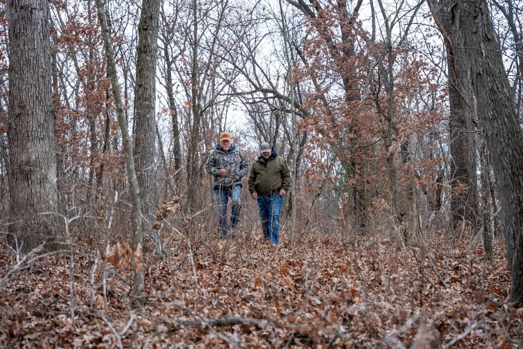 Two people walking through wooded area in winter, illustrating proper low-impact access and monitoring of wildlife sanctuary areas