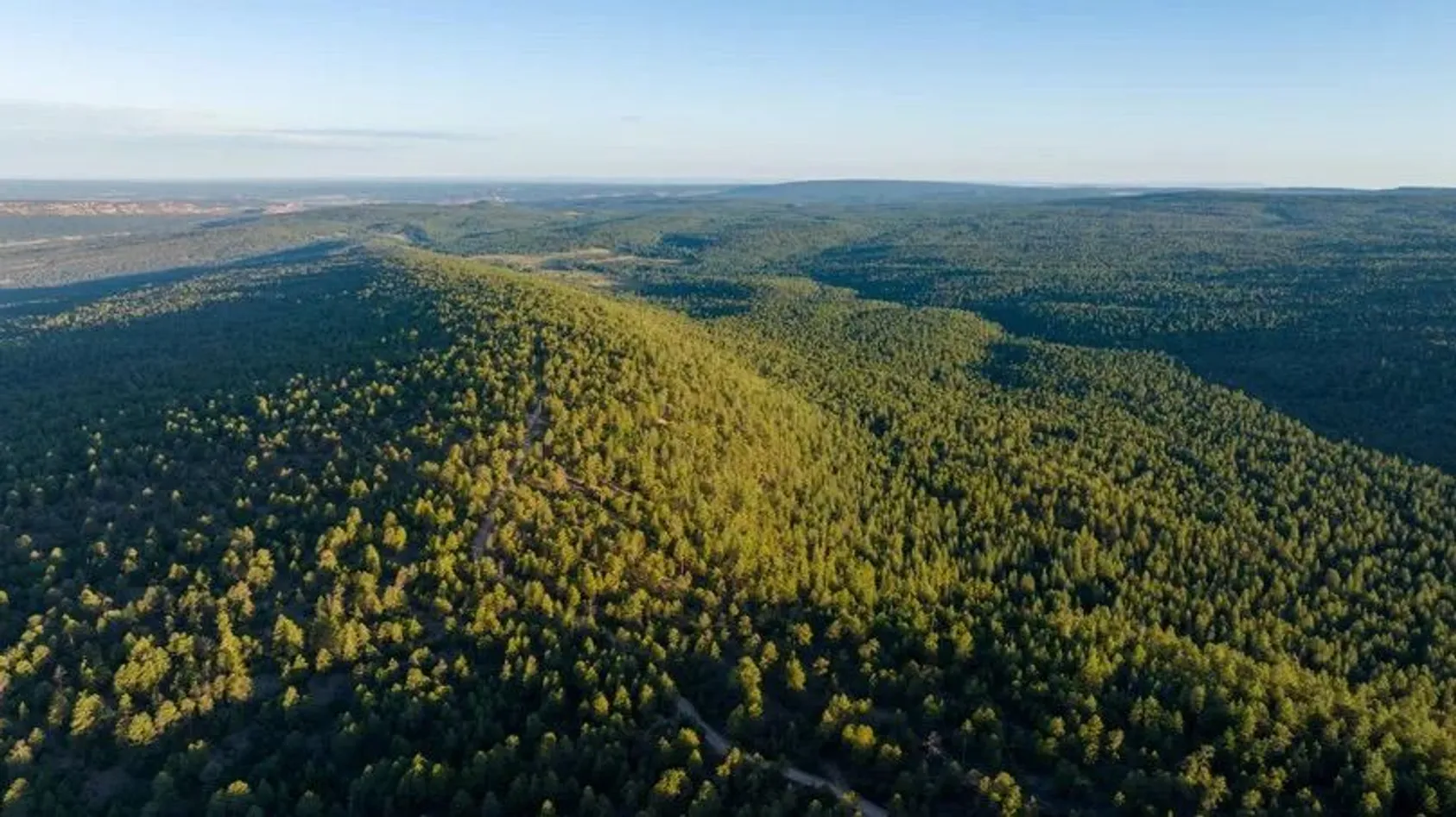 Aerial view of vast forested mountains and valleys in New Mexico, showing the expansive wilderness landscape of the ranch property