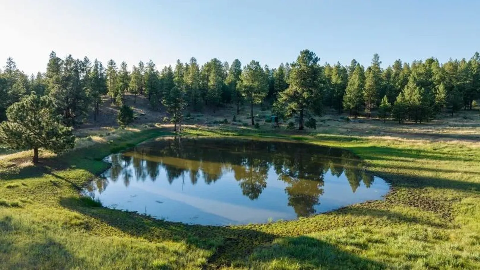Scenic pond surrounded by trees and open grassland on the ranch property, demonstrating the water features and natural beauty of the land