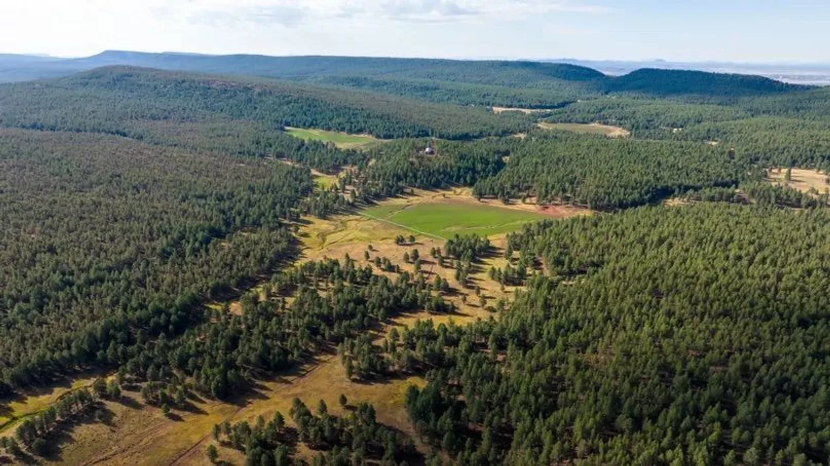 Aerial view of ranch property showing mix of forested areas and cleared agricultural fields, illustrating the diverse terrain and land use potential