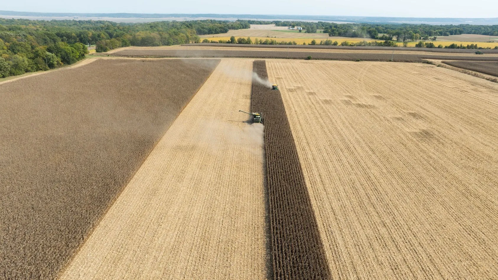 Aerial view of combine harvester working in golden grain field, showing active agricultural production and crop harvesting operations