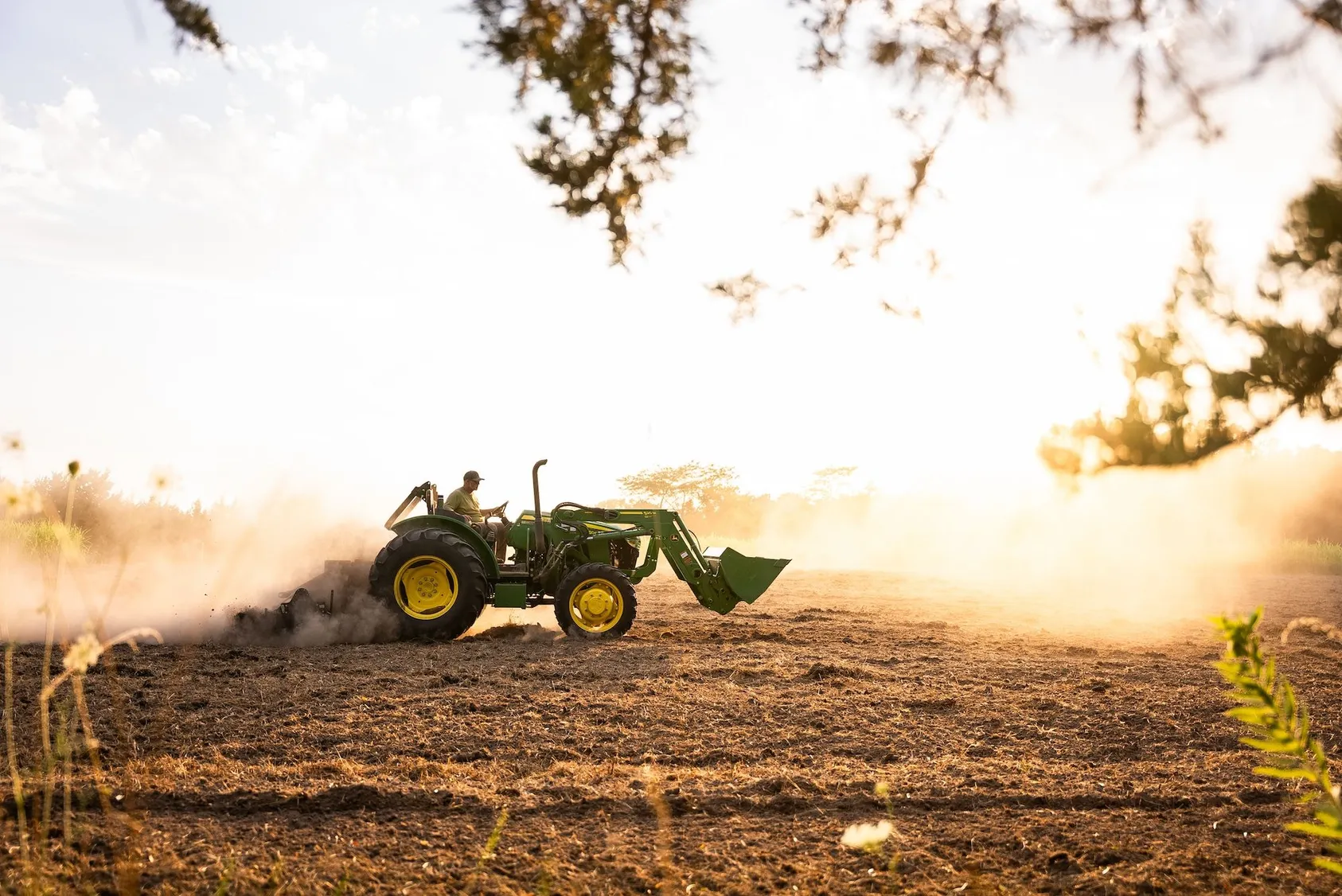 Tractor working in agricultural field during golden hour sunset, demonstrating active farming operations and land preparation for crop production
