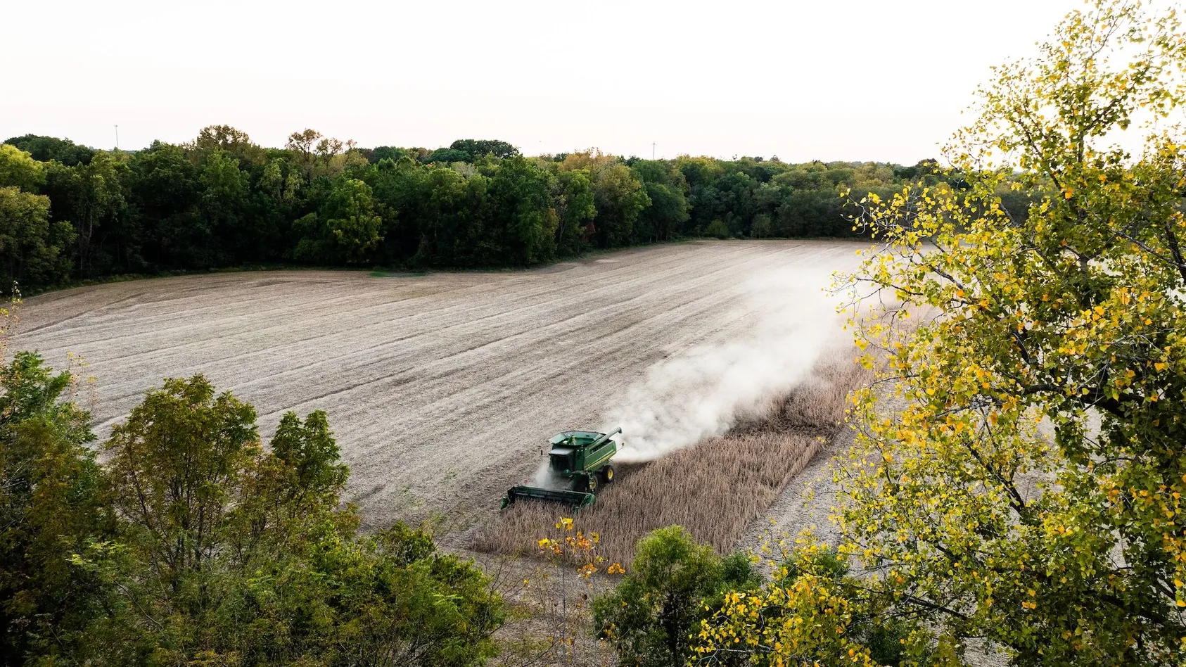 Aerial view of green pickup truck parked in clearing surrounded by bare winter trees and brush, showing remote rural property access for land evaluation