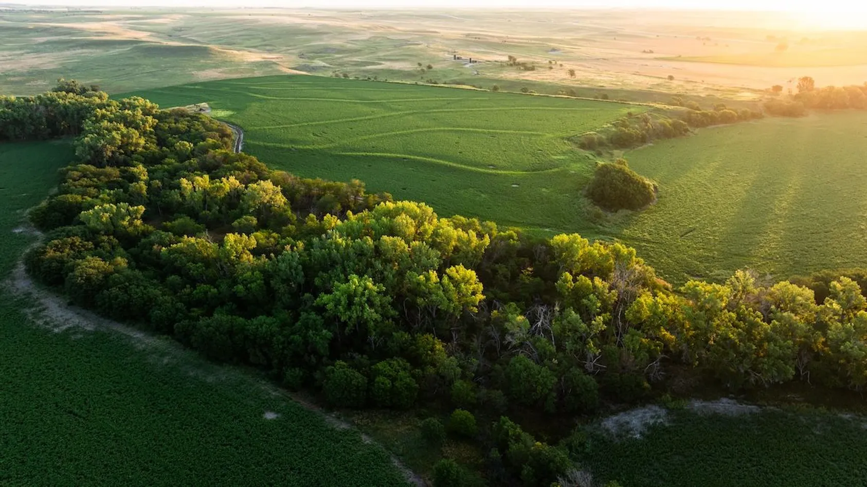 Aerial view of diverse rural landscape with mix of agricultural fields, wooded areas, and open land, showing comprehensive land use potential