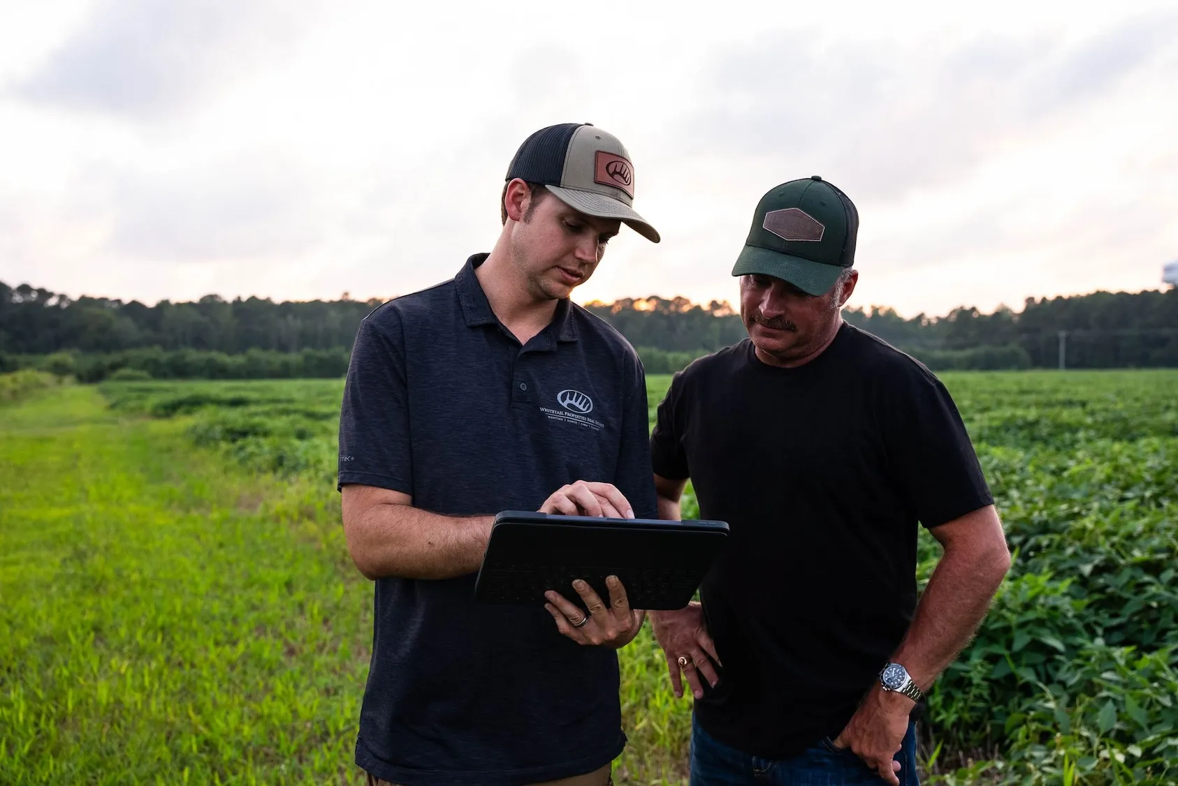 Two land professionals in polo shirts reviewing digital tablet while standing in green agricultural field, representing land market analysis and property evaluation