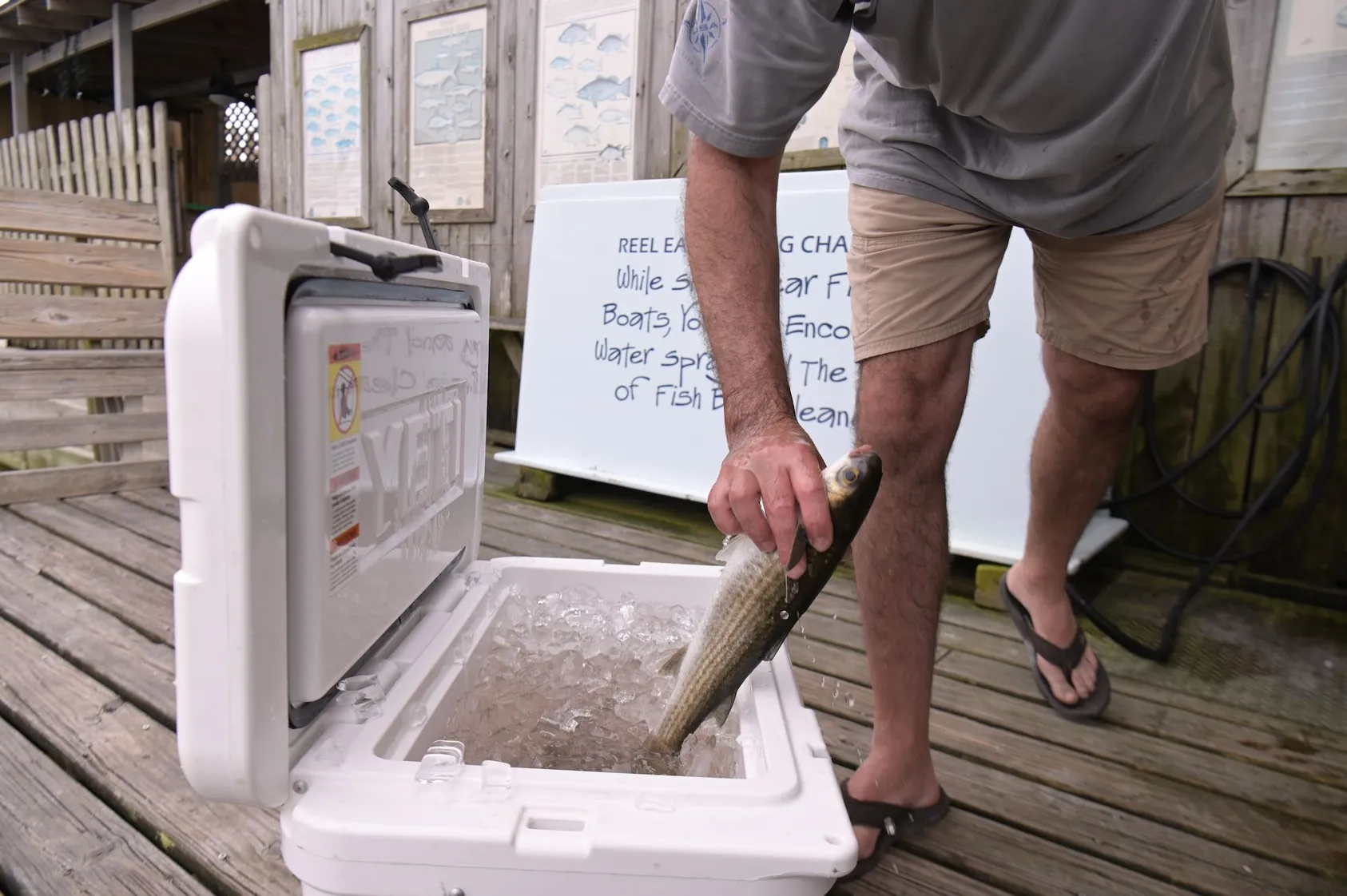 Man in khaki pants reaching into white cooler to retrieve fish, demonstrating recreational fishing opportunities and lifestyle benefits of rural waterfront property ownership