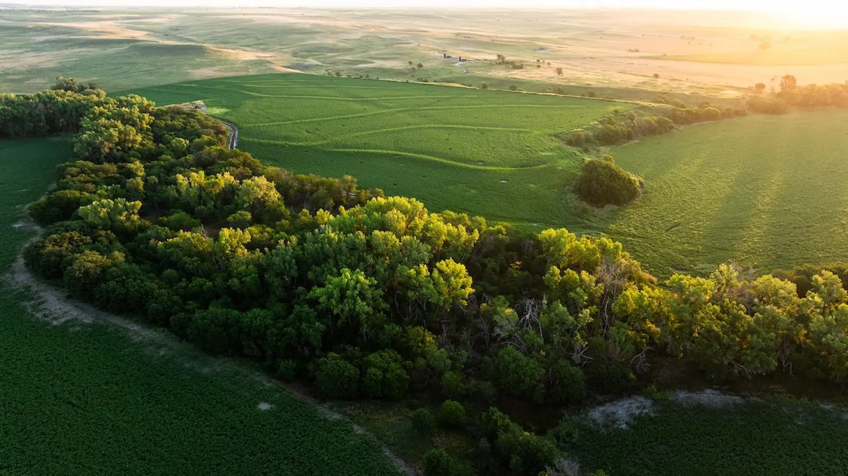 15 Reasons Why You Need a Land Survey Before Buying Property