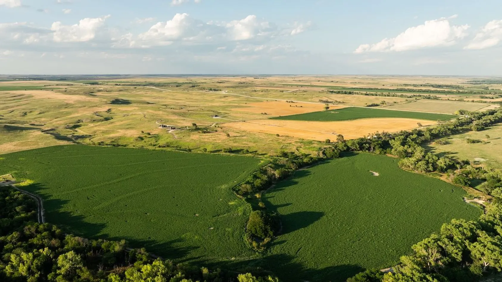 Aerial view of patchwork agricultural landscape with green crop fields, harvested land, and scattered tree lines under blue sky