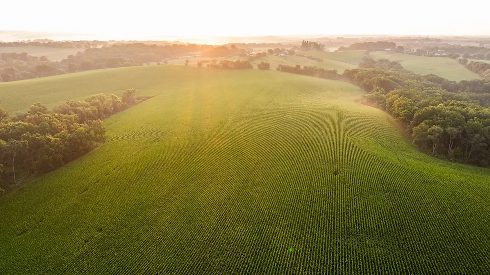 Featured Image for Understanding Land Use Regulations A Landowner's Guide