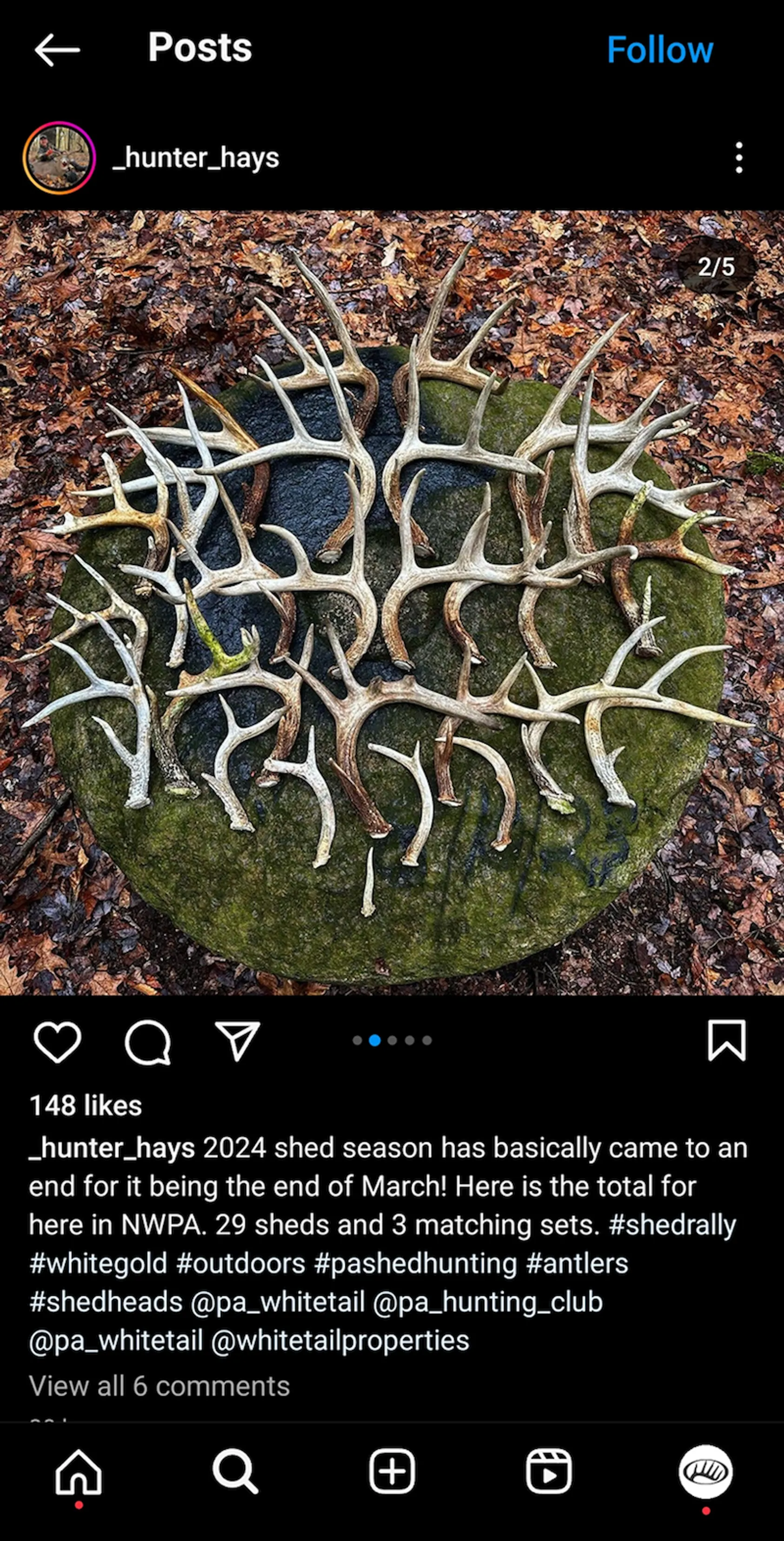 Social media post showing collection of multiple white-tailed deer shed antlers arranged on ground, demonstrating successful shed hunting season results