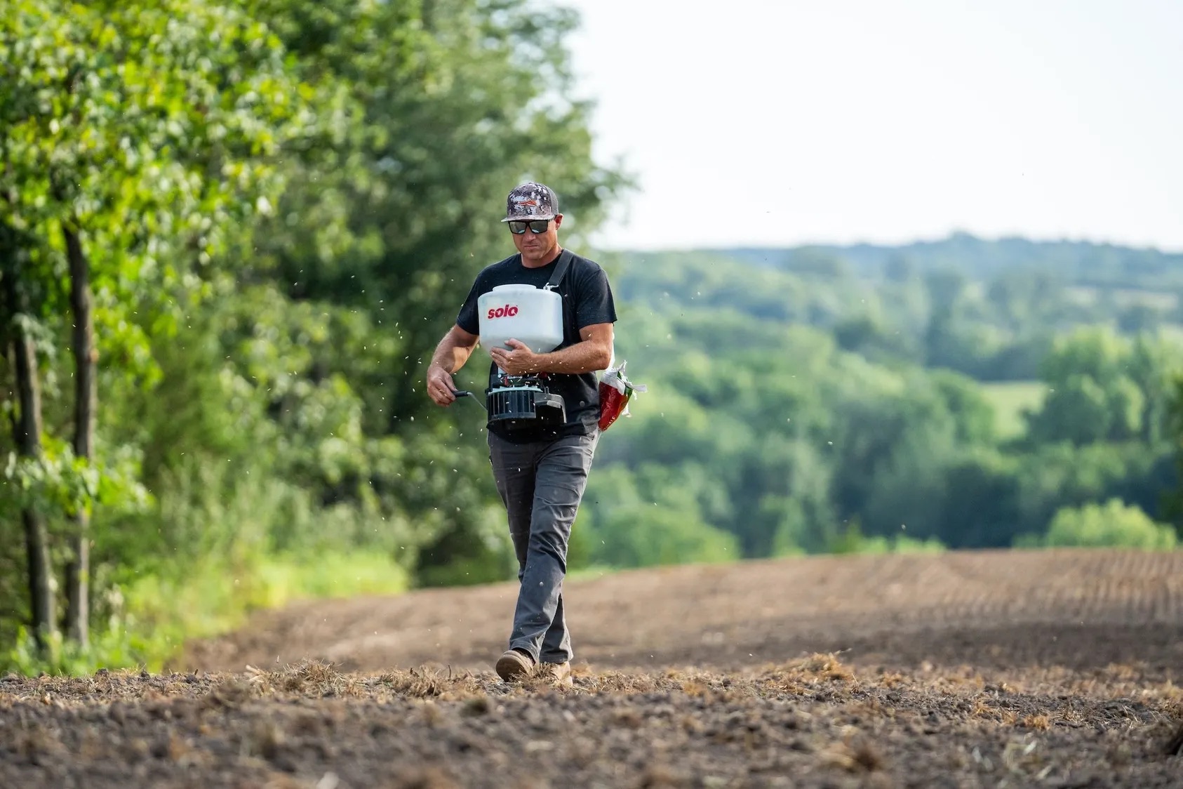 Featured Image for The Best Food Plots for Turkeys