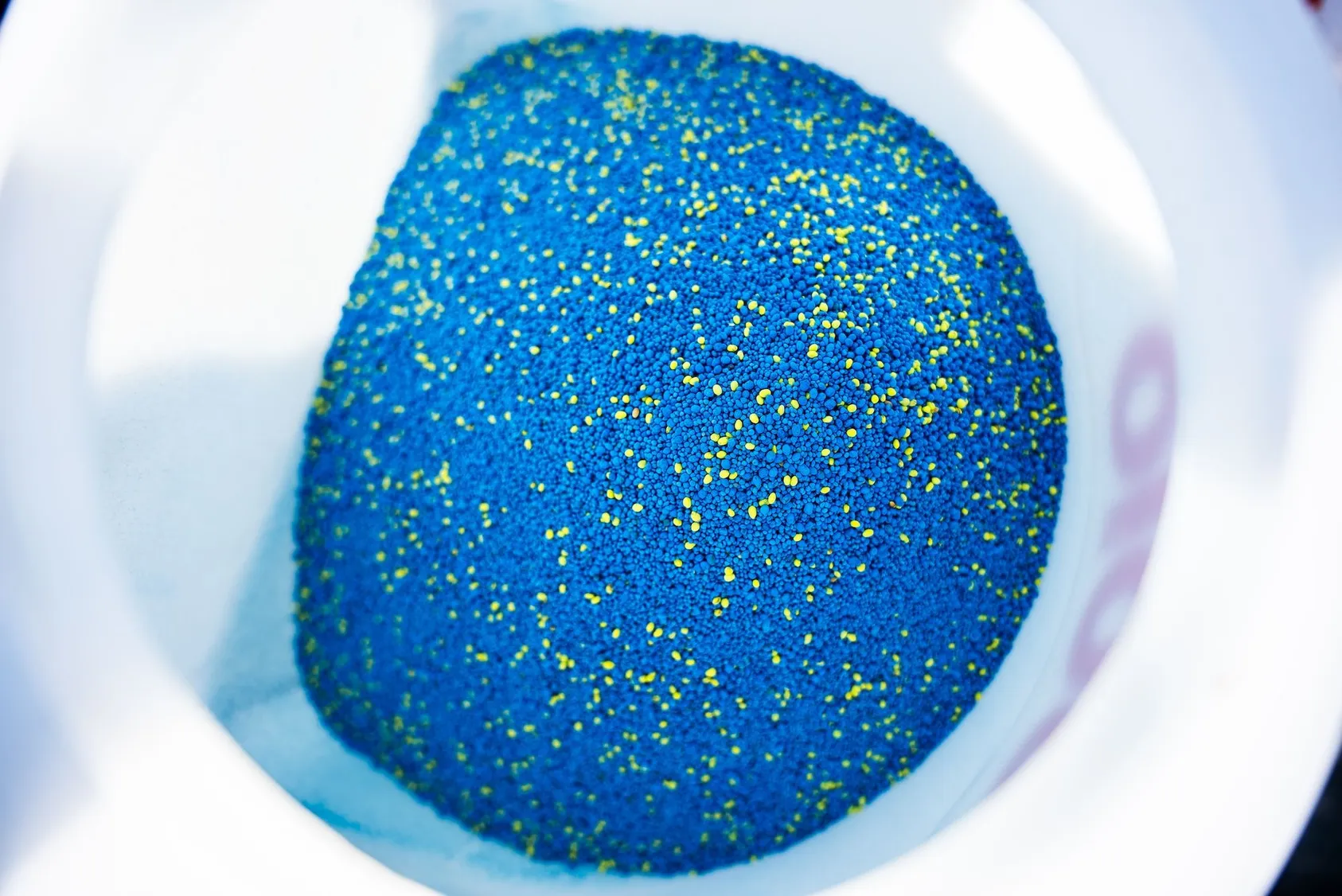 Close-up of small blue seeds in white container, likely turkey food plot seeds ready for planting