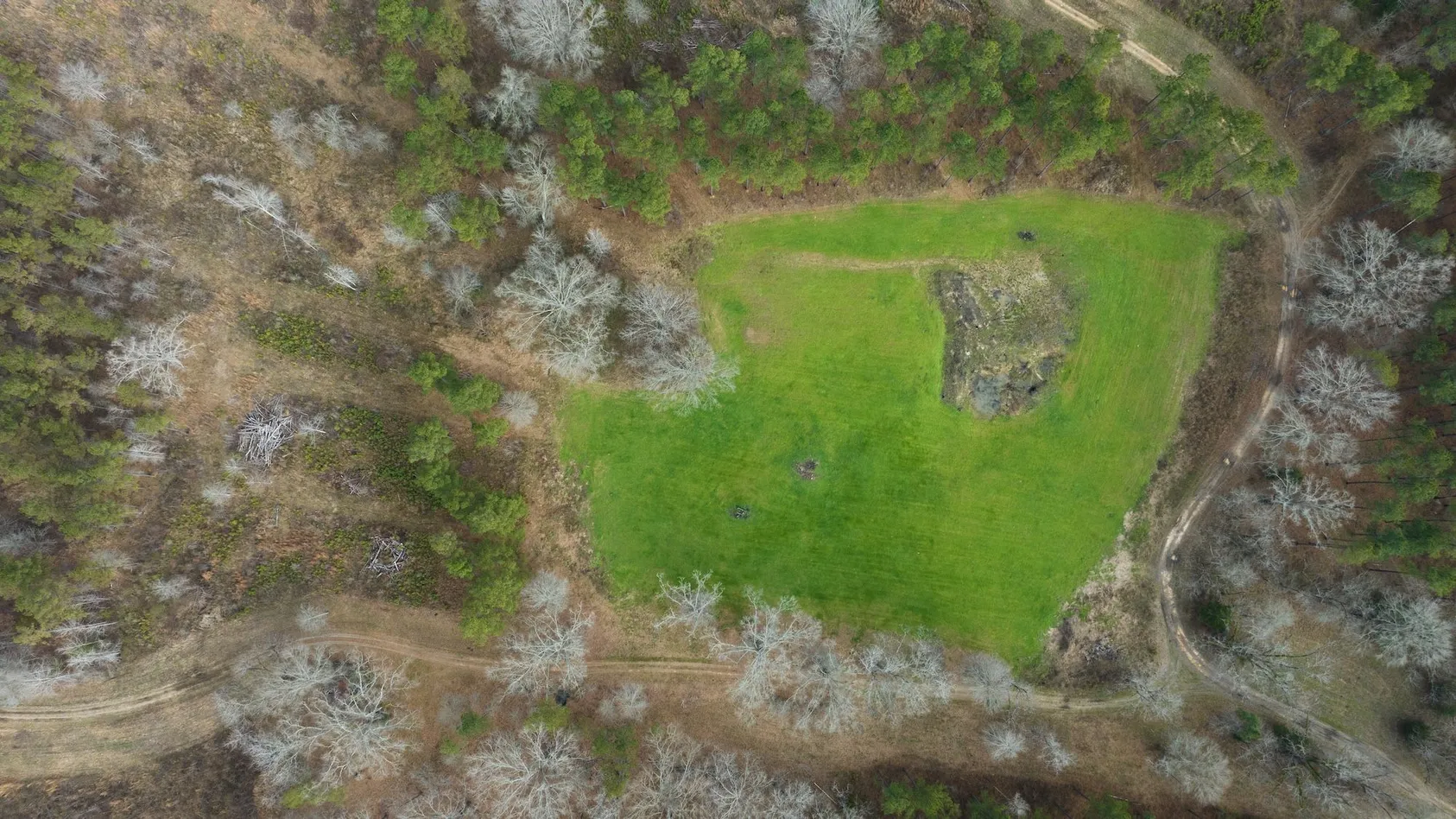 Aerial view of rectangular green food plot surrounded by wooded area, demonstrating strategic placement for turkey habitat