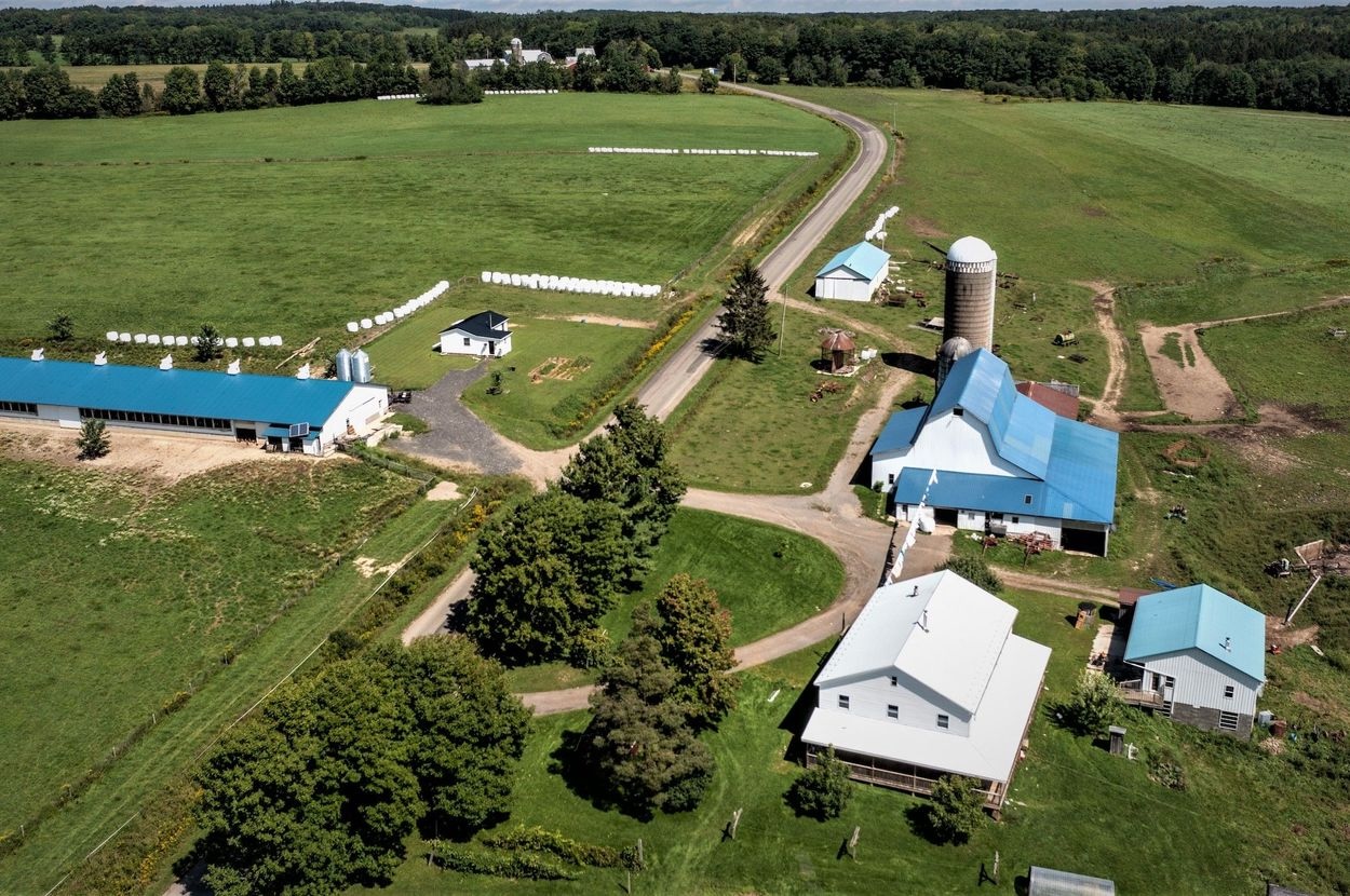 The Basics of Dairy Farming for Landowners and Buyers