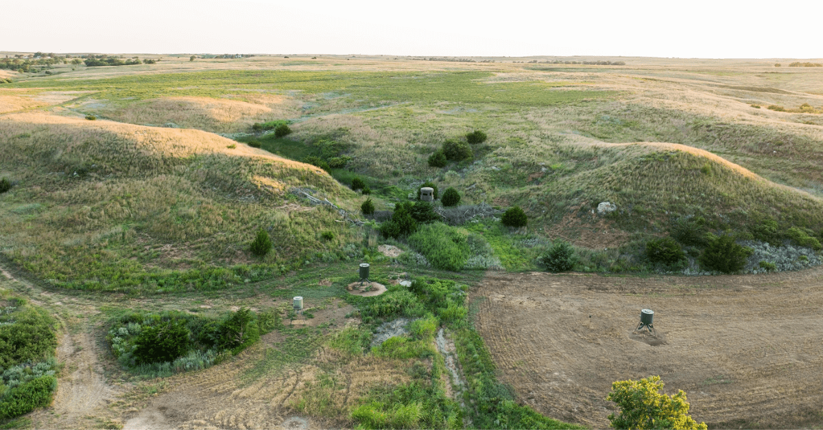 Proven Food Plot Designs to Attract Whitetail Deer