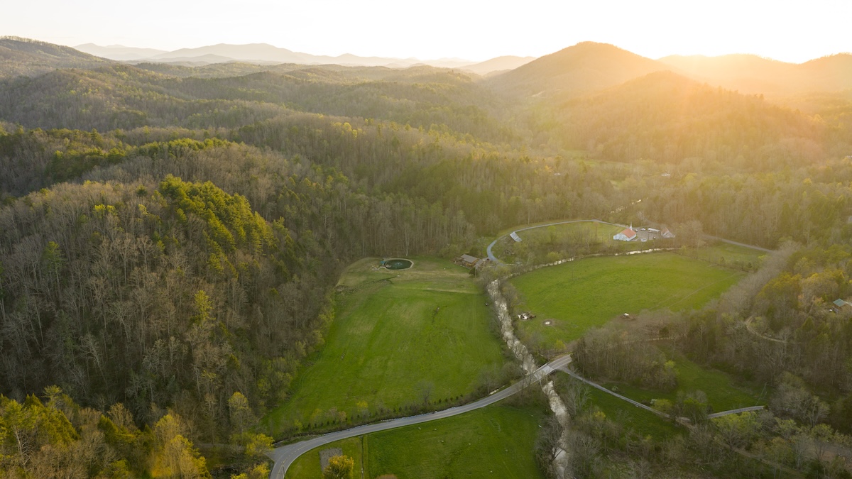 Forest Management Secrets That Improve Timber and Wildlife