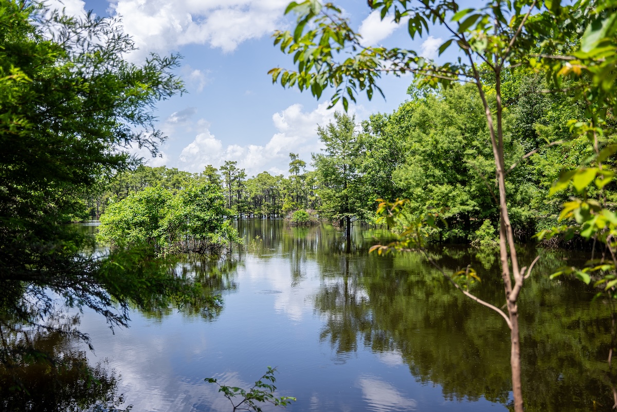 How to Check if Land Is in a Flood Zone Before You Buy