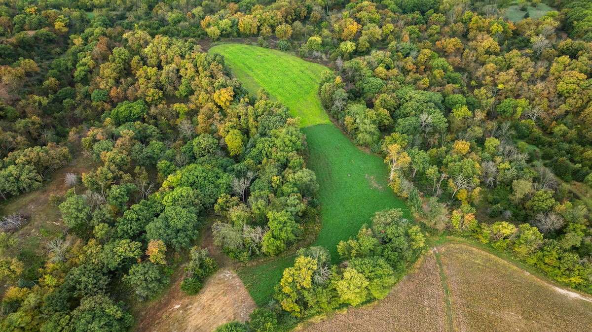Small Food Plots for Deer: How to Create a High-Impact Kill Plot on Limited Acreage