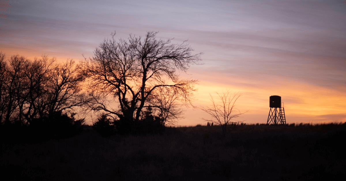 Tips on Buying Hunting Land (and Words from a New Farm Owner)