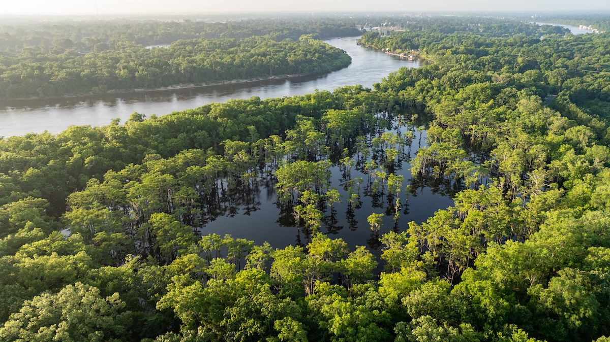 WRE (WRP) Explained: A Conservation Program Option for Wetland Properties